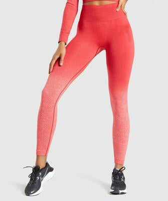 Conjunto de Calças e Blusa de Yoga Sem Costuras para Mulheres - Conforto e Estilo em Harmonia - O Retalho