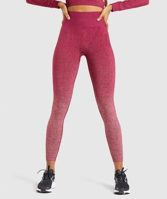 Conjunto de Calças e Blusa de Yoga Sem Costuras para Mulheres - Conforto e Estilo em Harmonia - O Retalho
