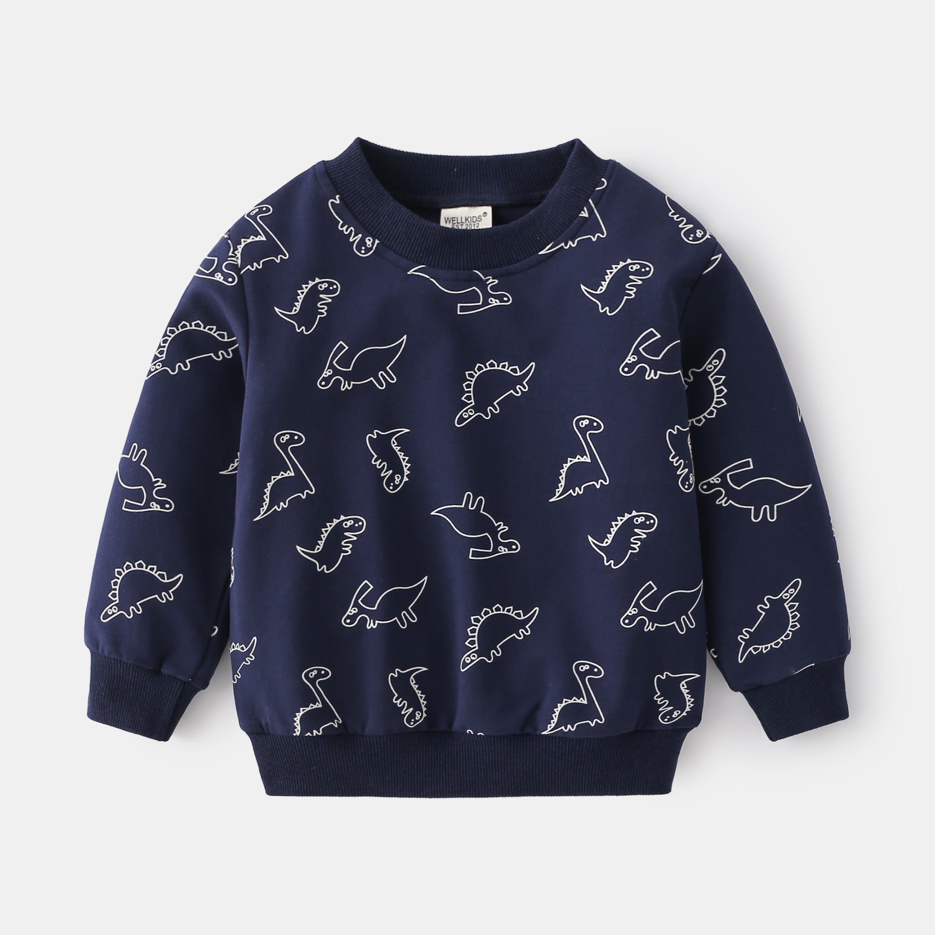 Unhooded Pullover Long Sleeve Blue Grey Cute Boy Sweatshirt - O Retalho
