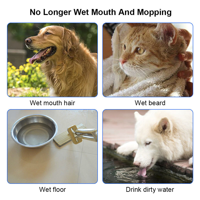 Bebedouro flutuante de água para animais de estimação