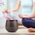 Lâmpada de aromaterapia de áudio Bluetooth - O Retalho