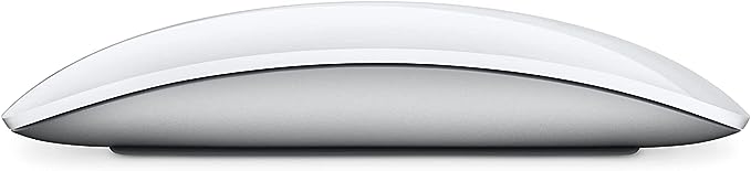 Apple Magic Mouse - O Retalho